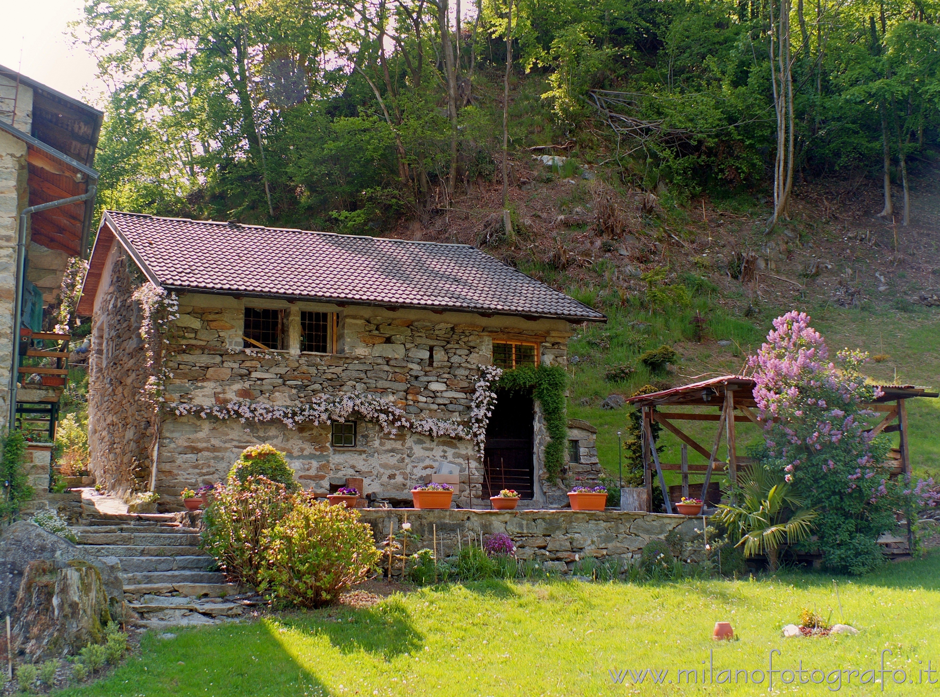 Piedicavallo (Biella, Italy) - House full of flowers at the border of the hamlet Montesinaro